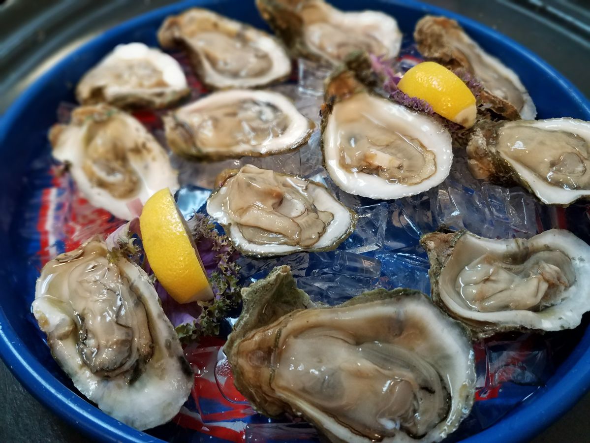 Gallery Daiquiri Shak