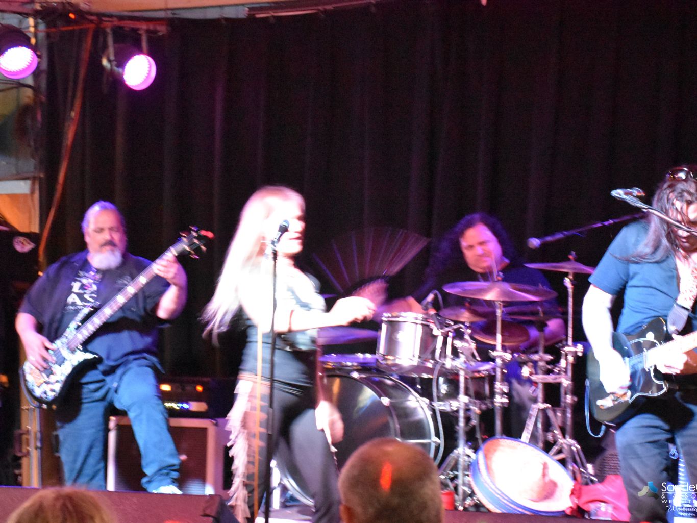 Gallery Daiquiri Shak